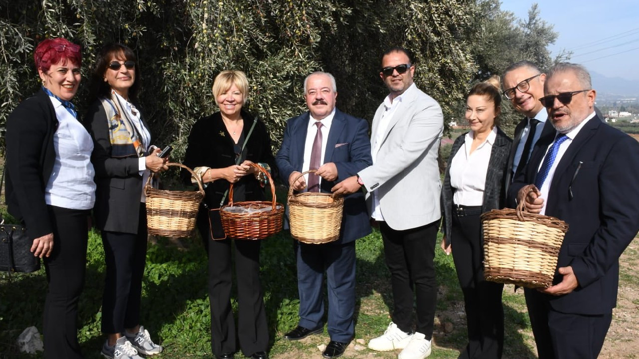 Dünya zeytinyağı arzı daralırken Türkiye için tarihi fırsat