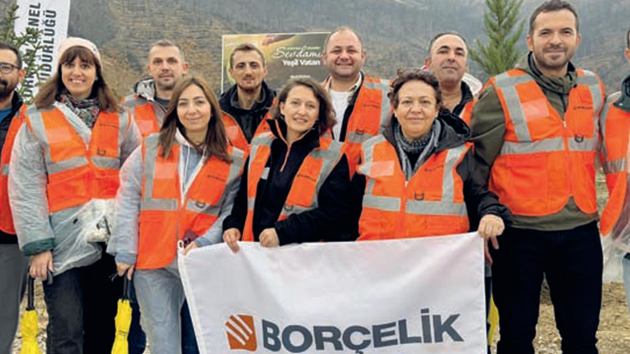 Yanan ormanlara umut: 700 binden fazla yeni yaşam filizlendi