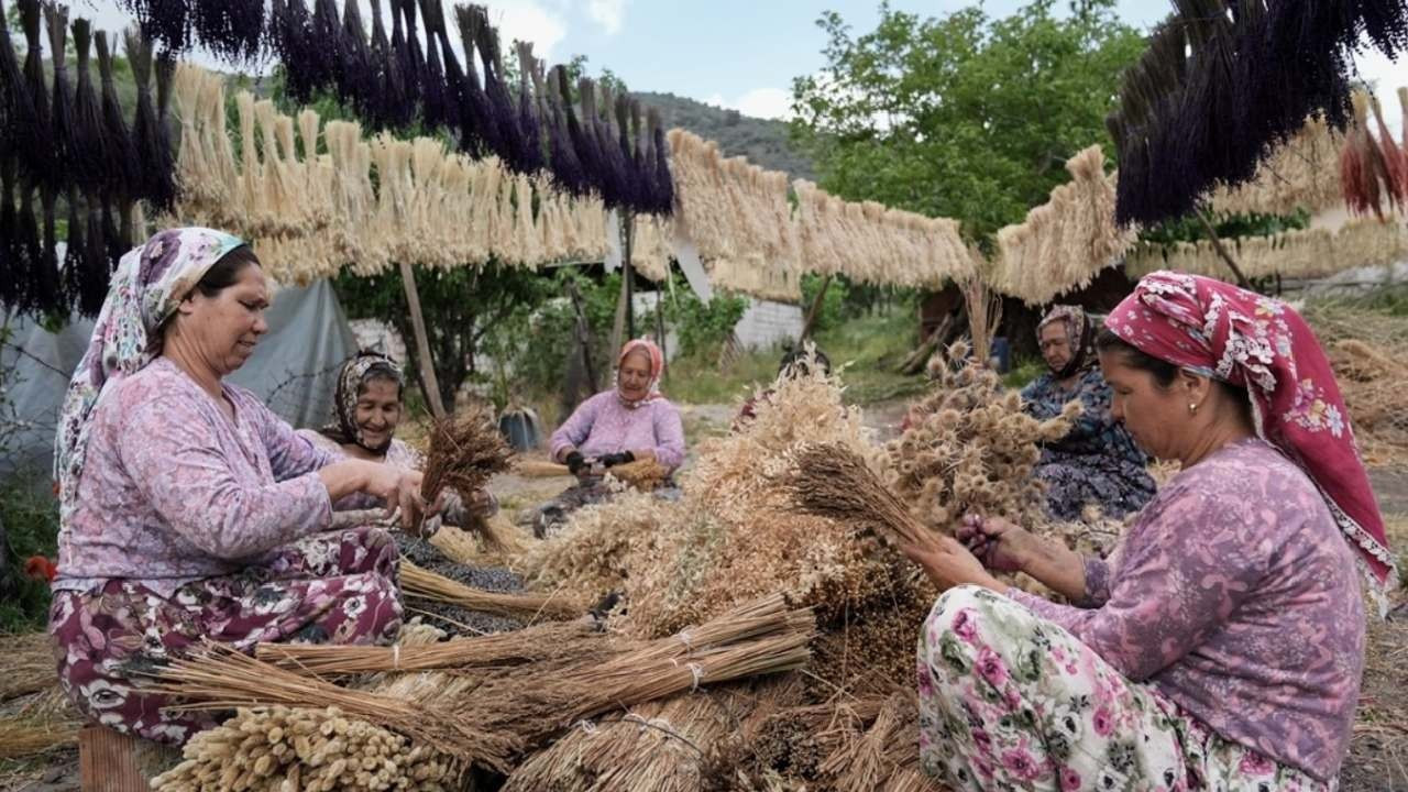 Köyden şehre göç bitecek: Yeni destekler ve kalkınma adımları yolda