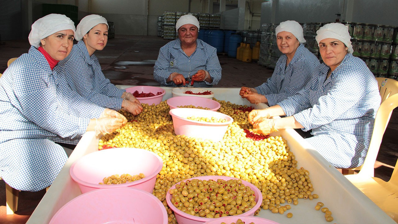 Sofralık zeytin ihracatı yeni sezona hızlı başladı: İlk ayda yüzde 13 artış