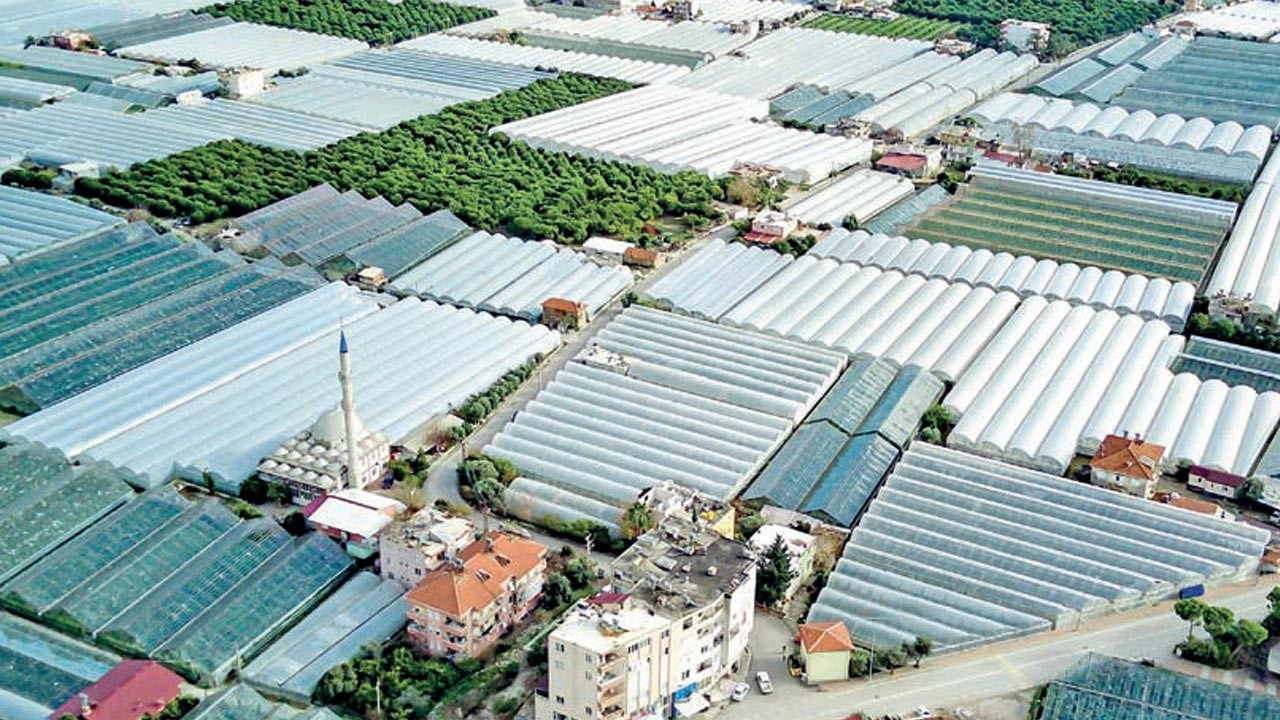 Bölgesel Sera OSB’ler sebze-meyveyi ucuzlatacak