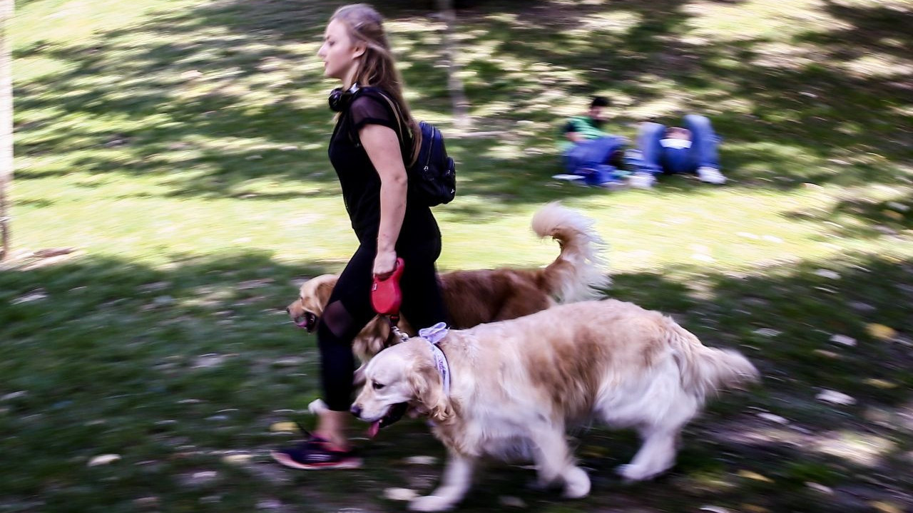 TÜİK duyurdu: Kasımda fiyatı en çok artan ürün belli oldu!