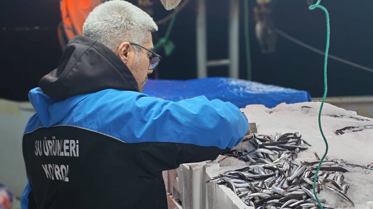 Çanakkale'de 45 kiloluk balığa el konuldu