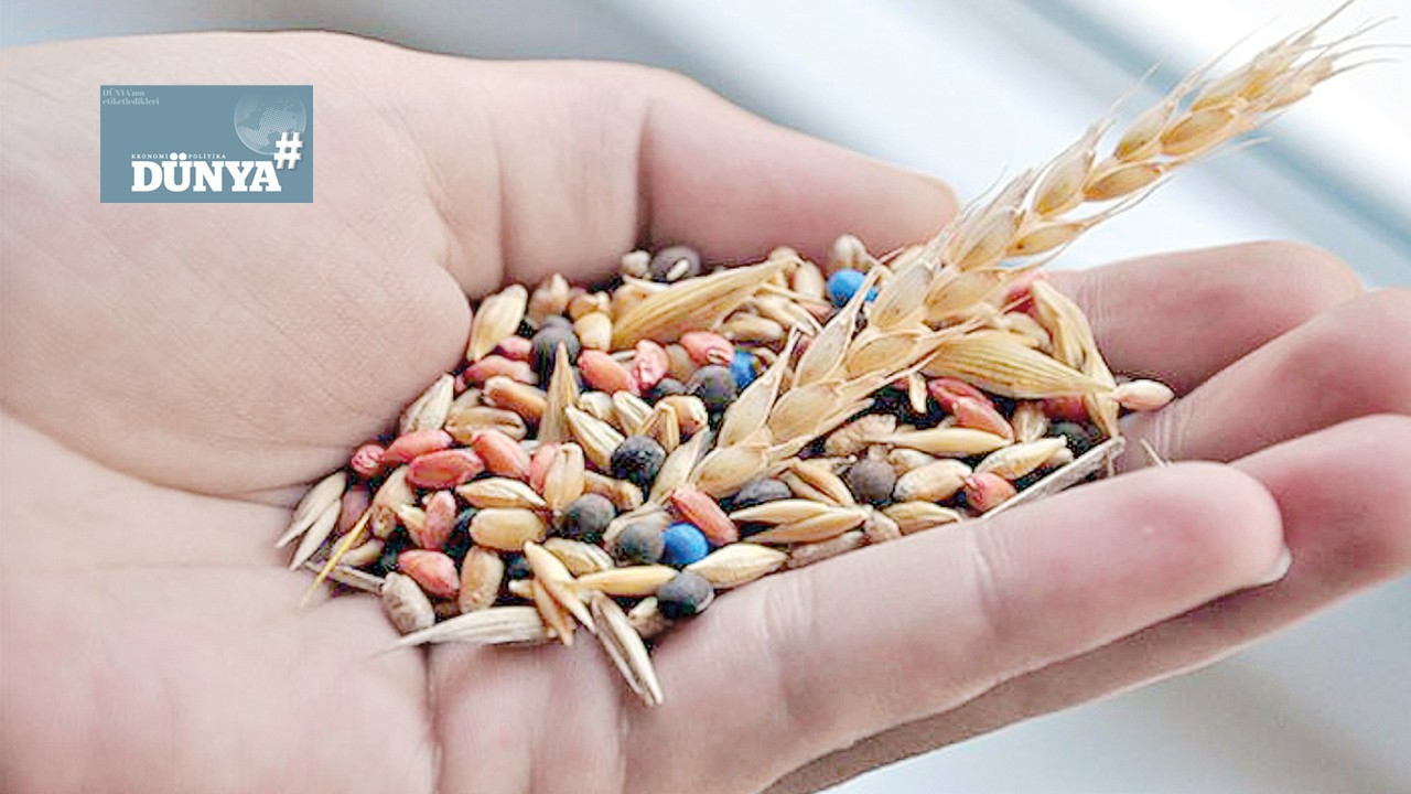 Anadolu tohumları mutfak ekonomisinde yükseliyor