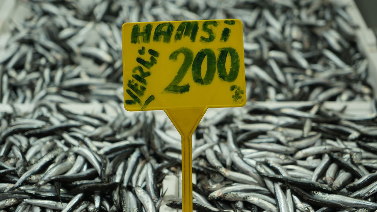 Hamsi yeniden 200 TL’ye çıktı: Sezondaki bolluk kısa sürdü