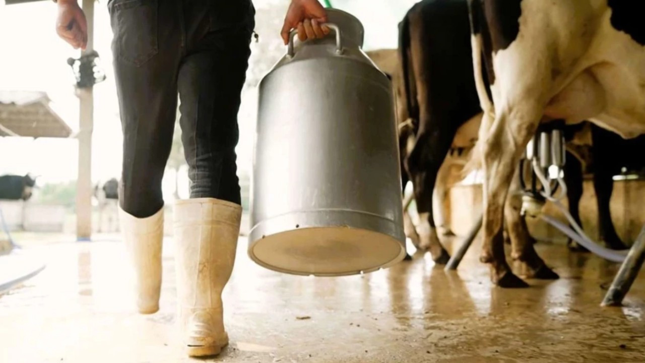 TÜİK açıkladı: Ekimde süt üretimi yüzde 3,2 azaldı