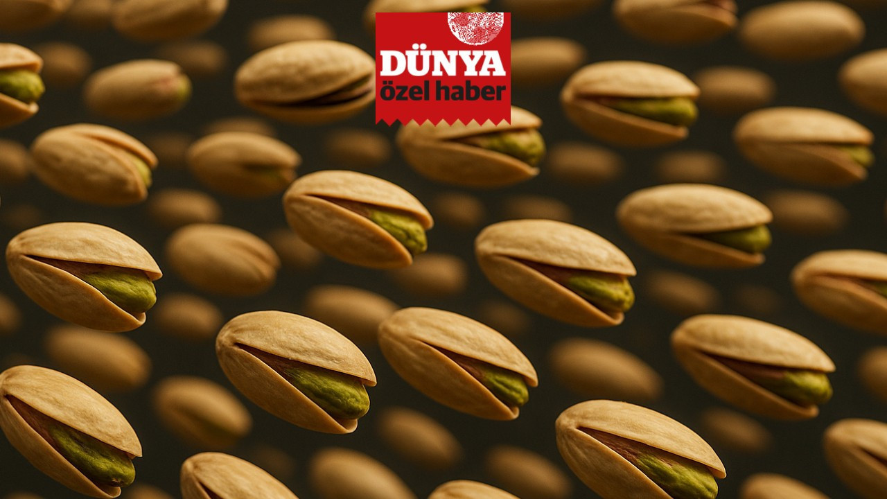 Yunanistan ile gastronomi rekabeti: Antep-Egina savaşının galibi belli oldu