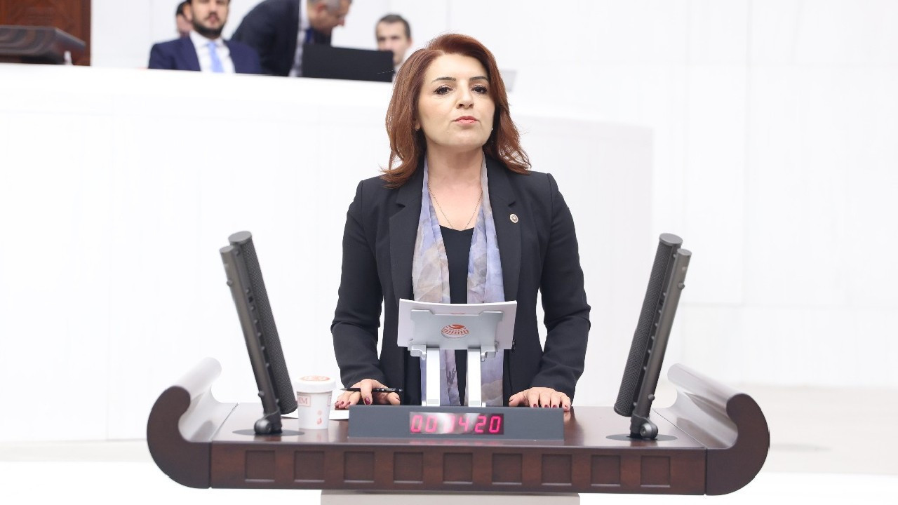 CHP'li Kış'tan elektrik ve Akkuyu eleştirisi