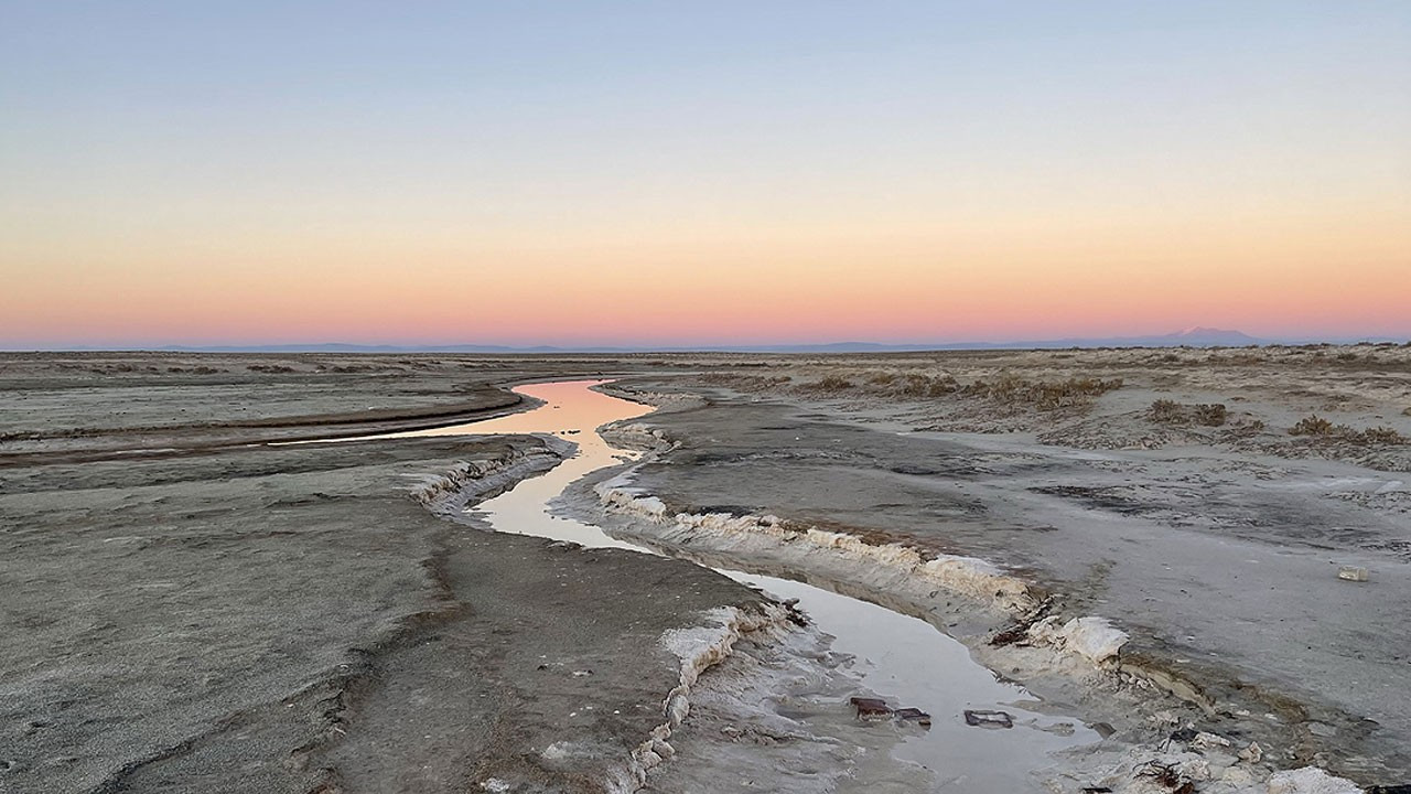 Kuraklık çanları çalıyor, Flamingolar artık gelmiyor