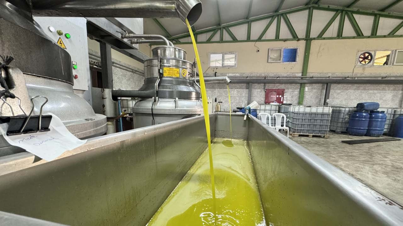 Devlet desteği ile zeytinyağı fabrikası kuran muhtar mahalleyi iş sahibi yaptı