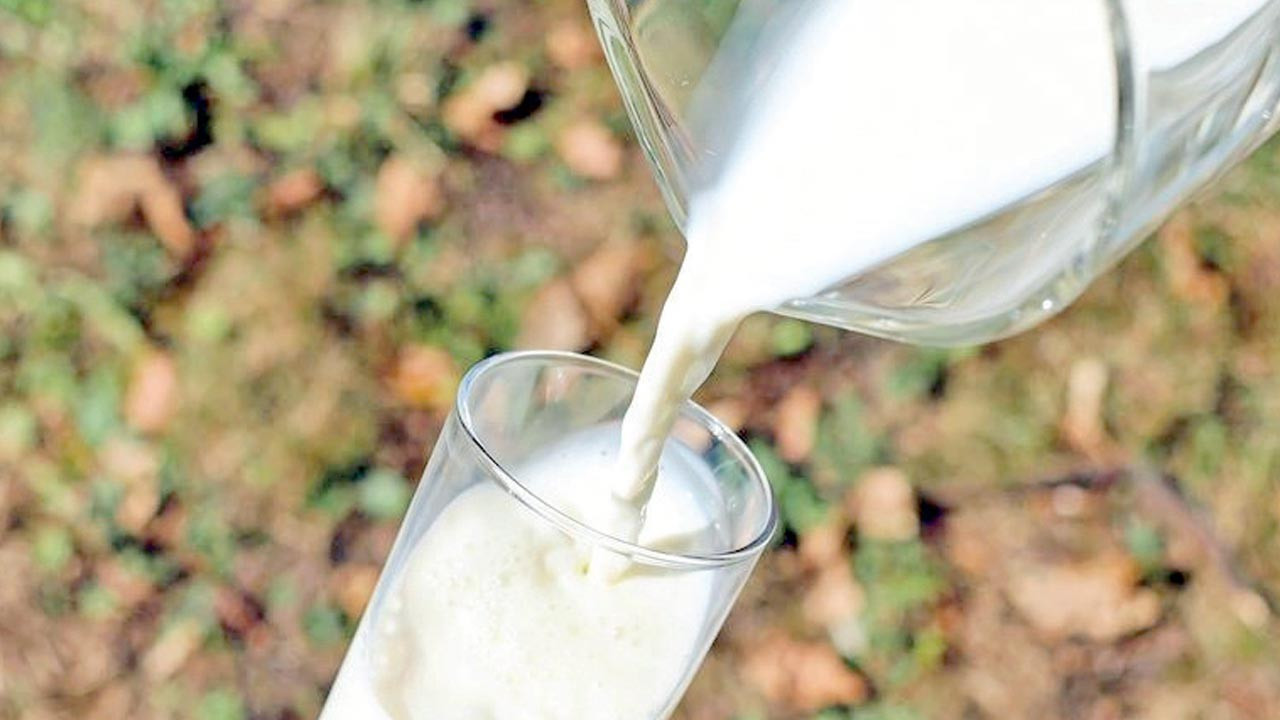 Sektör temsilcileri: “Süt sektörüne olası cezalar paydaşlara zincirleme yansır”