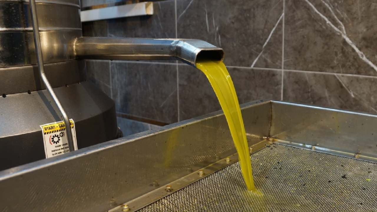 Zeytinyağı fiyatlarına yüzde 35 zam! Tariş güncel listeyi açıkladı