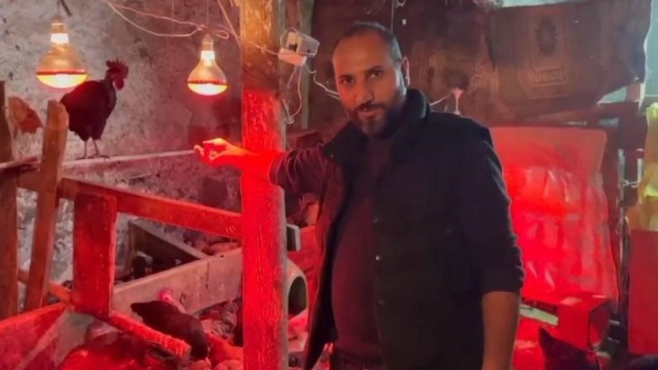 Kümeste müzik denedi, yumurta verimi arttı!