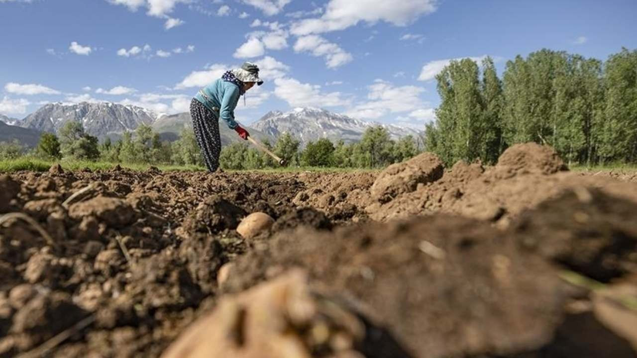 Tarım ve Orman Bakanı İbrahim Yumaklı duyurdu: 2,2 milyar lira hibe desteği verilecek