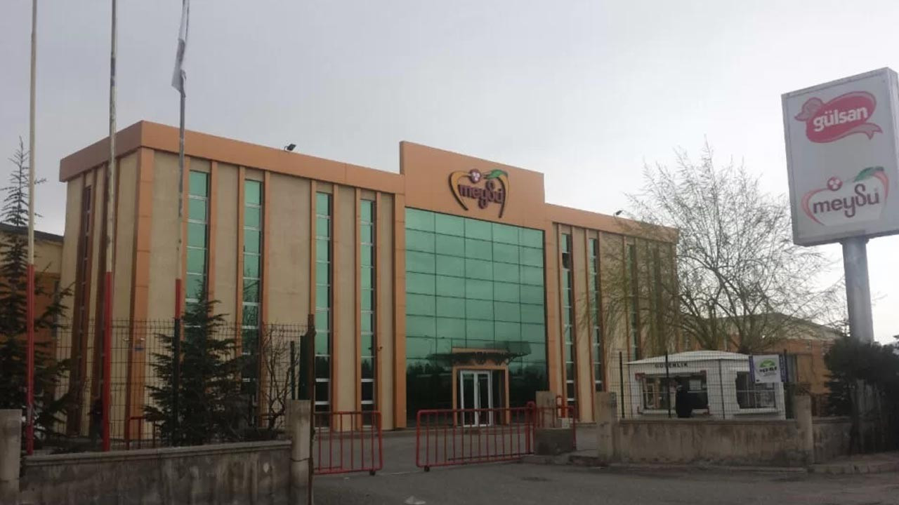 Meysu Gıda'nın halka arz sonuçları açıklandı
