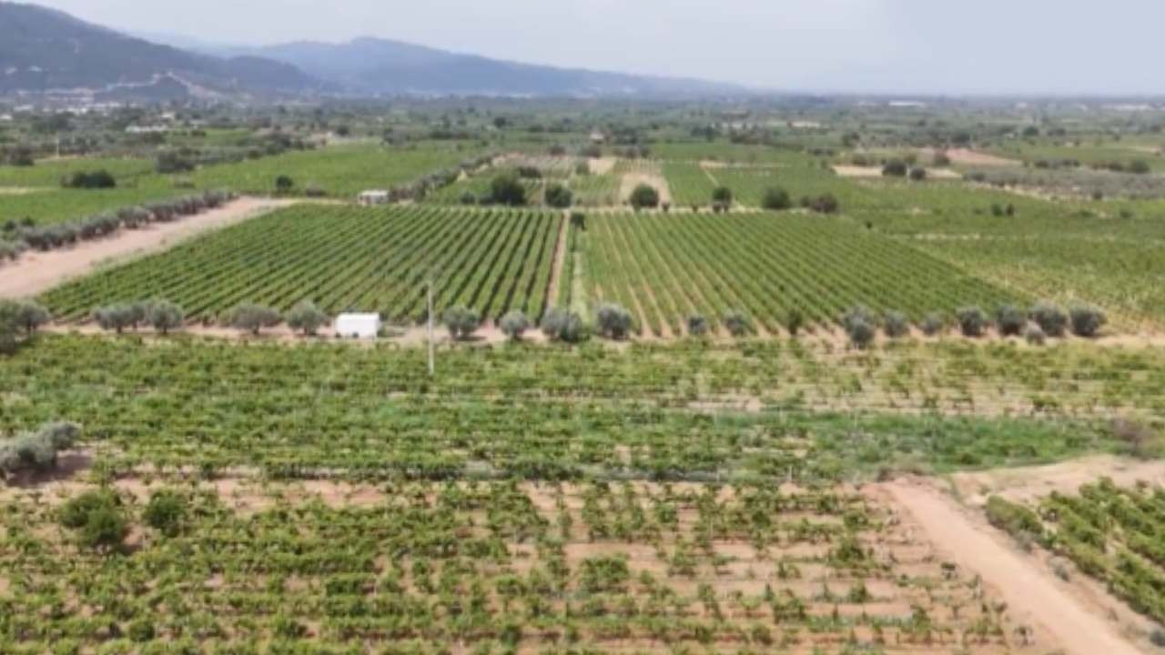 Manisa'ya dev yatırım: 2 bin 163 kişiye istihdam, ekonomiye 245 milyon lira katkı