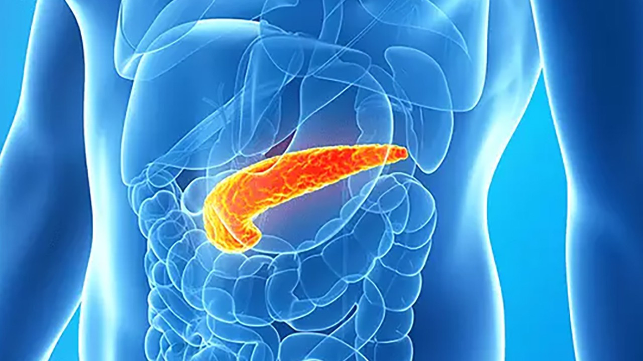 Pankreas kanserinde umut veren gelişme: Üçlü tedavi hayvan deneylerinde tam iyileşme sağladı
