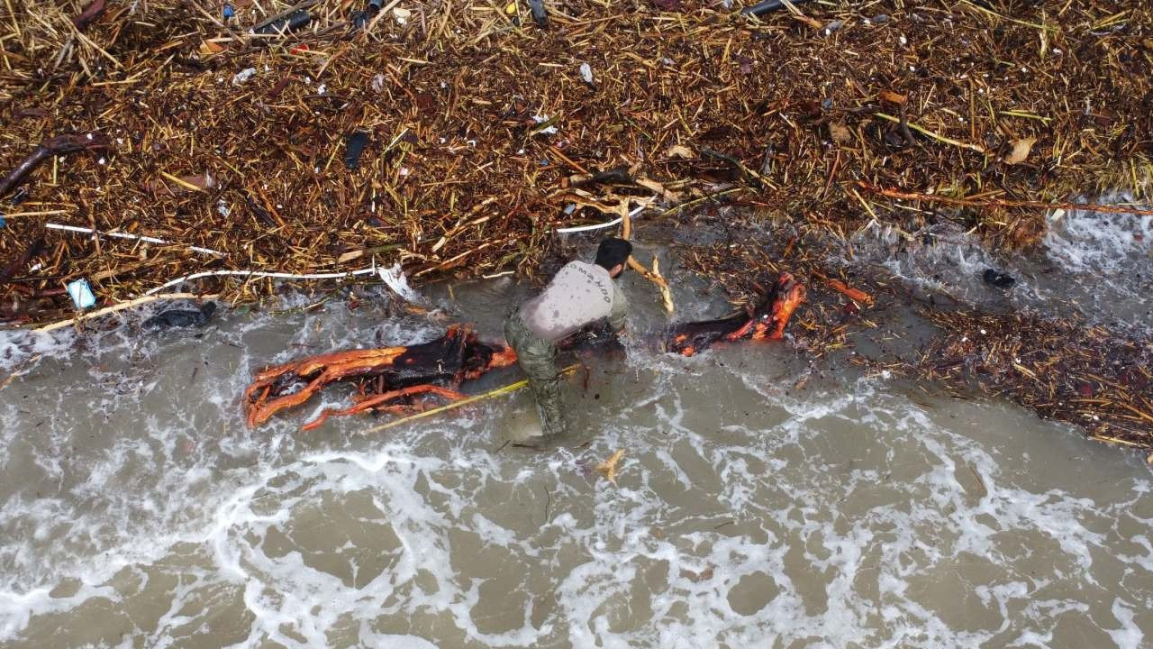 Sel sonrası 'milyonluk' yazlıkların önünde 'ekmek' mücadelesi