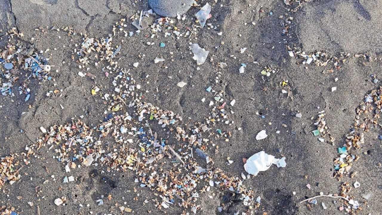 Tarladan denize mikroplastik akıyor