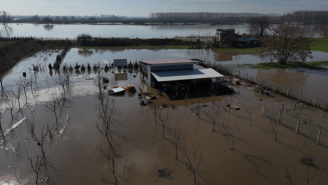 Meriç Nehri taştı: Hayvanlar tahliye edildi, tarım arazileri ve çiftlikler suya gömüldü