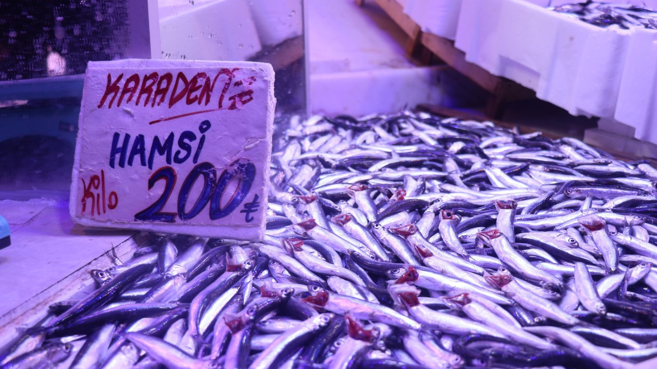 Hamsi tezgahlardaki tahtına yeniden oturdu: Vatandaş pazara koştu