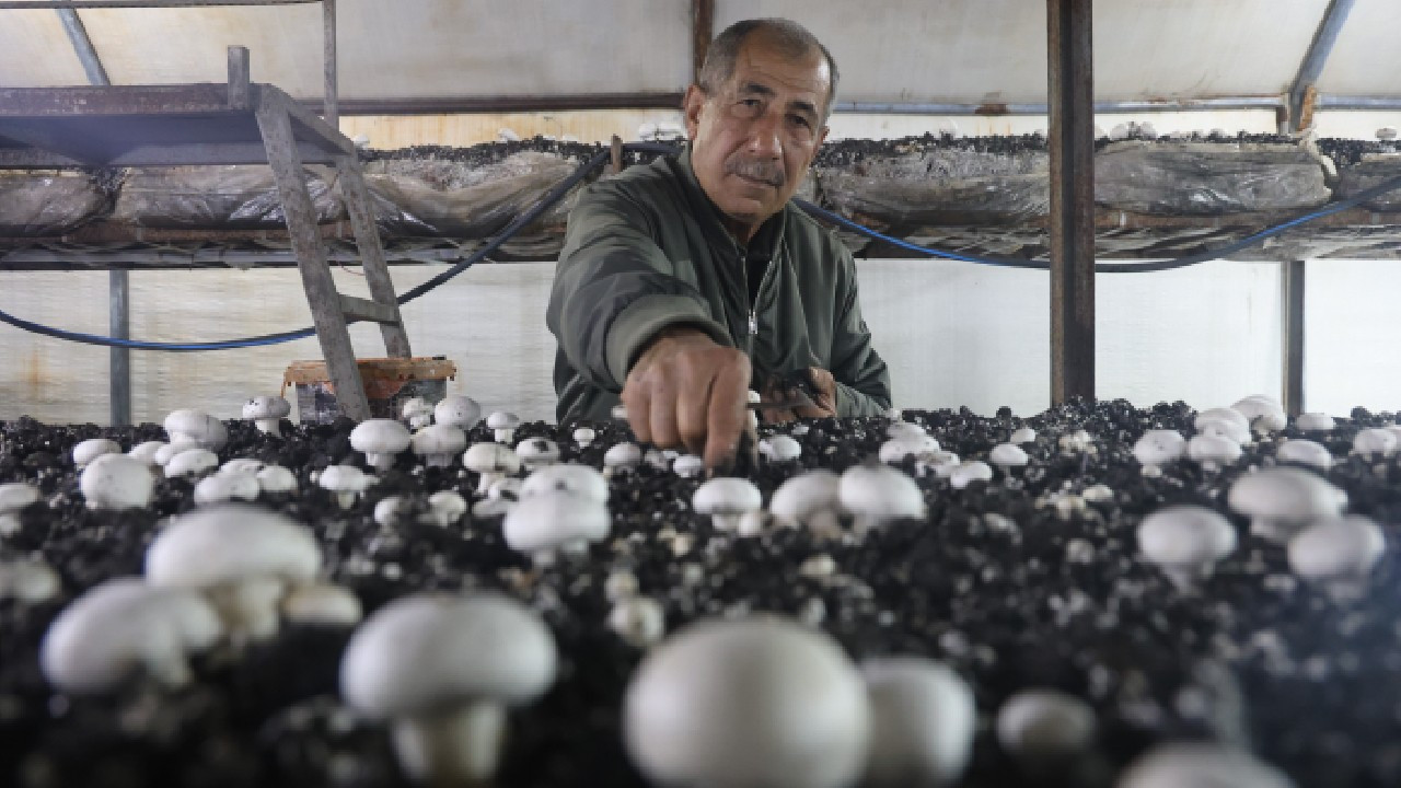 Dolar ve altınlarını bozdurup kurdu, şimdi tüm Akdeniz'e satıyor