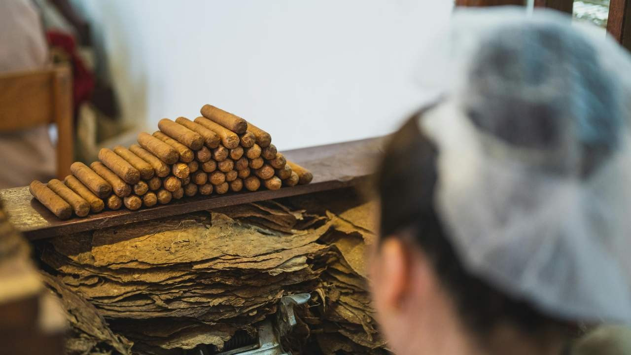 Küba'nın 'döviz kaynağı' festivaline enerji krizi darbesi