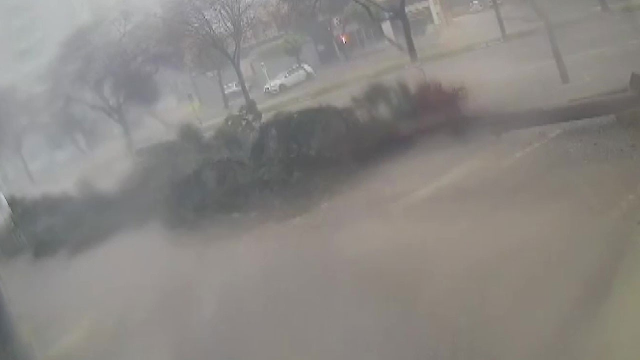 Adana'da fırtına dev ağaçları kökünden söktü: O anlar kamerada