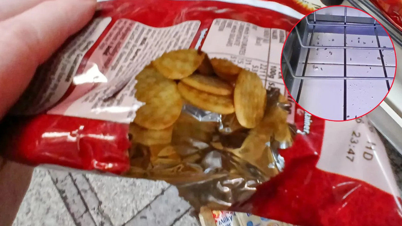 Marketten fare dışkısı ve kemirilmiş cips çıktı