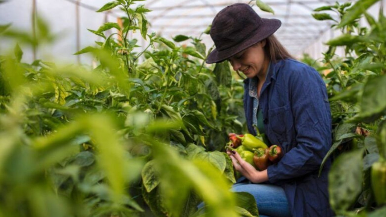 Kadın çiftçiler ve üreticiler için yeni dönem: 65,5 milyarlık kırsal kalkınma paketi