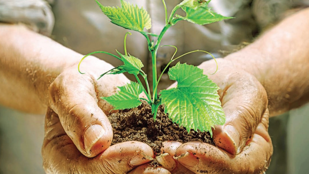 Prof. Dr. Süleyman Soylu: Yüksek maliyetler sözleşmeli tarıma yönlendiriyor