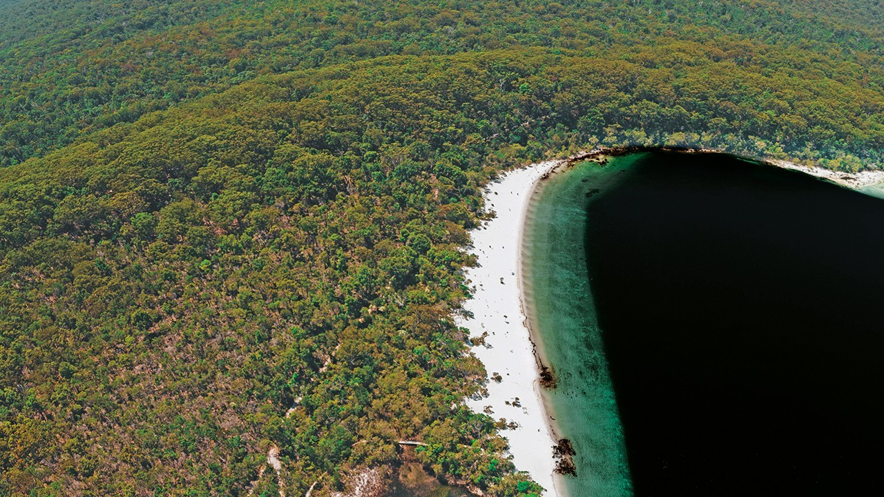 Yeşil ekonomide lokasyon paradoksu