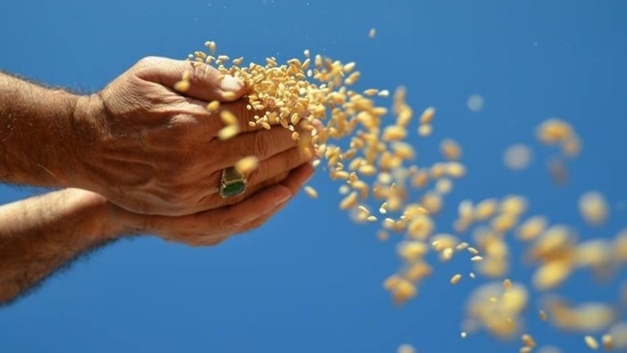 Enerji krizi bitmeden,  gübre ve gıda kıtlığı geliyor