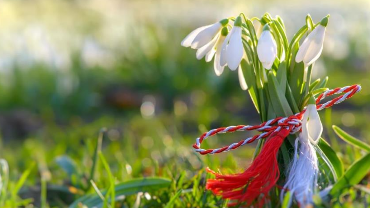 Marteniçka ne zaman çıkarılır?