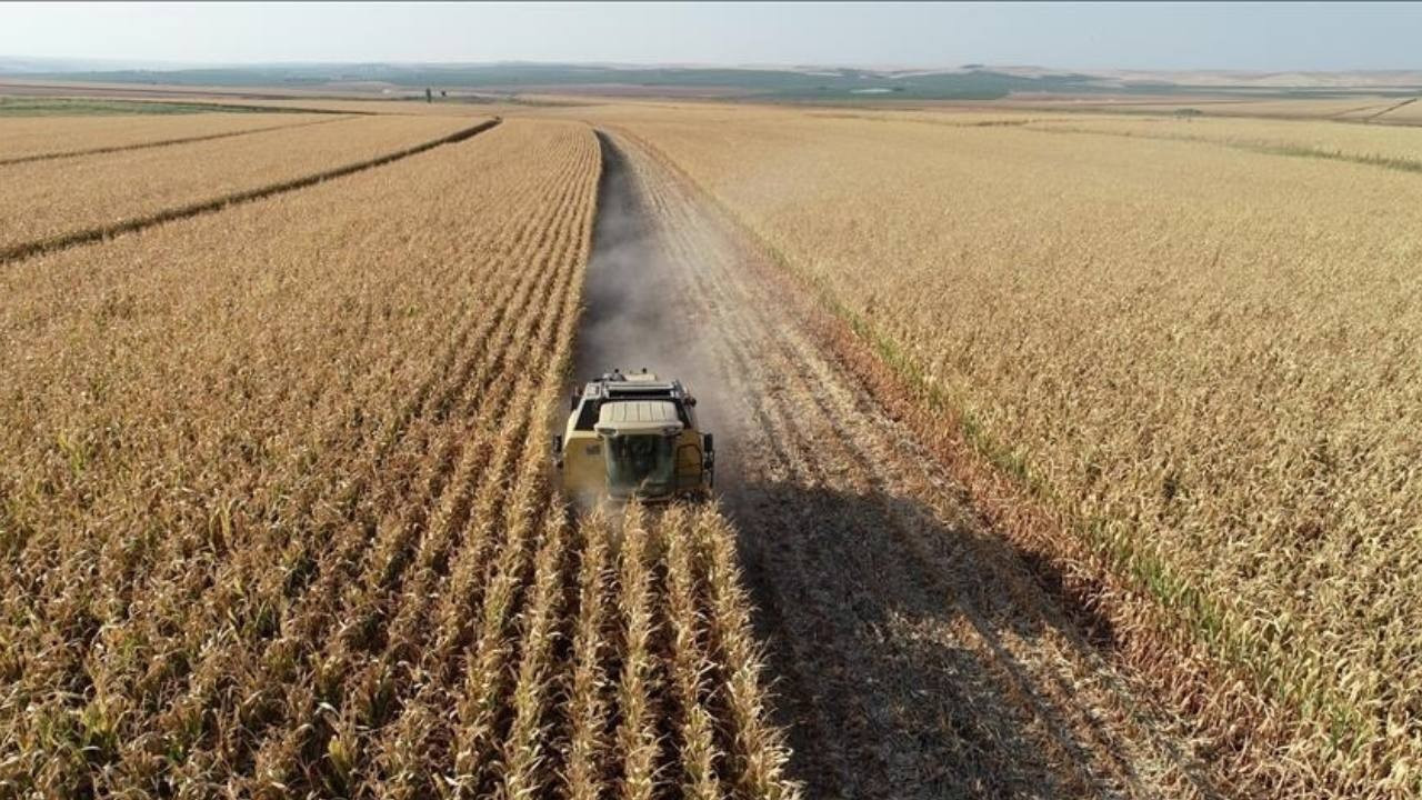 Tarım ÜFE şubatta yıllık yüzde 40,10 arttı