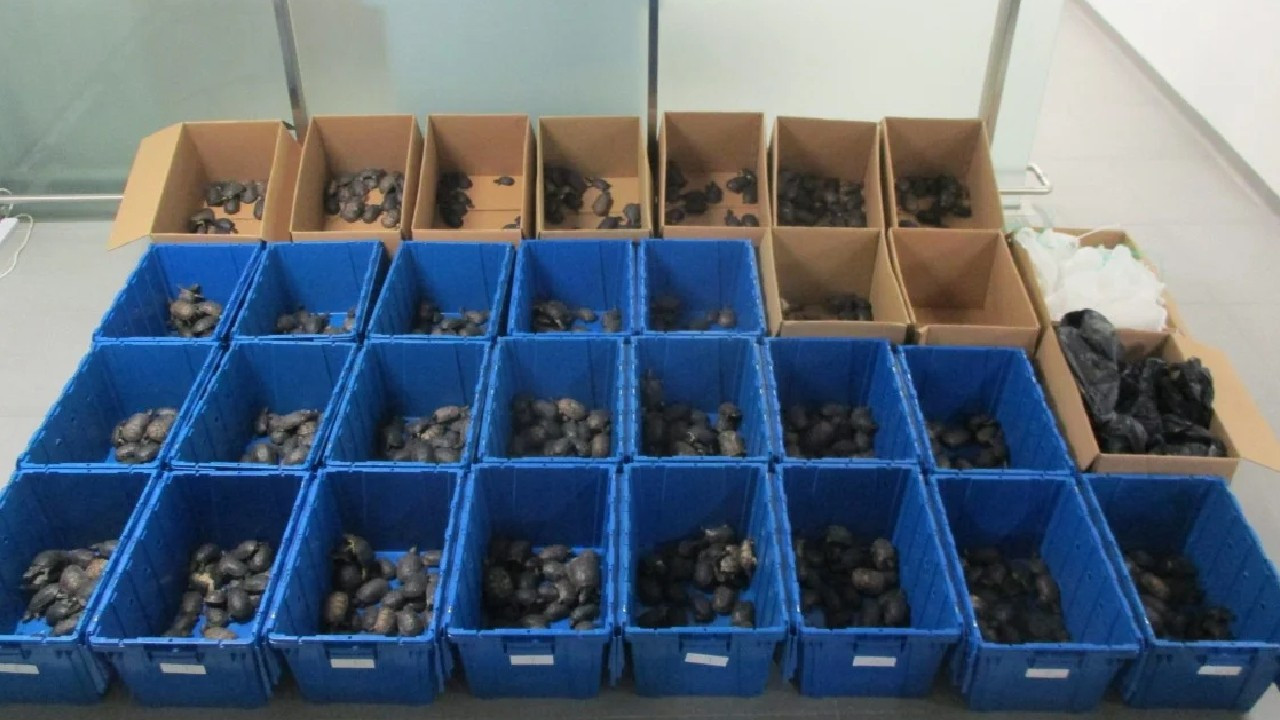 Ülkeye kaçak sokmaya çalıştılar, değeri 5.7 milyon TL