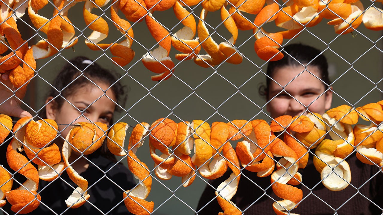 Dalında 20 TL, kabuğunda 65 TL: Kozanlı kadınlar atığı kazanca çeviriyor