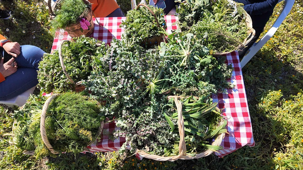 Urla Ot Bayramı 28-29 Mart’ta gerçekleşecek