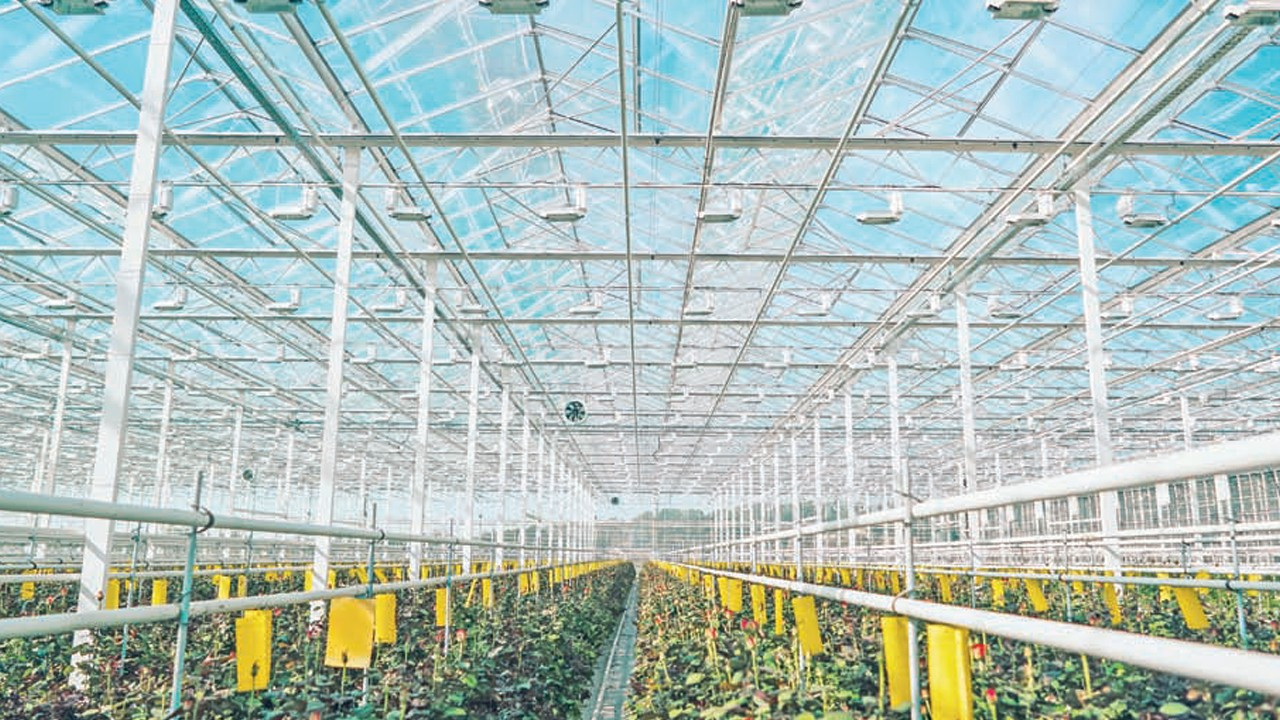 Modern serada hedef 2030’da 35 bin dekar