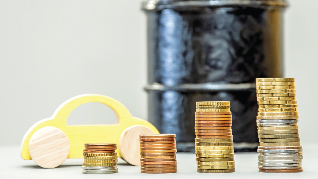  Ni­lay Tatlısöz : Tek sorun fiyat değil baz yağ arzı daralıyor