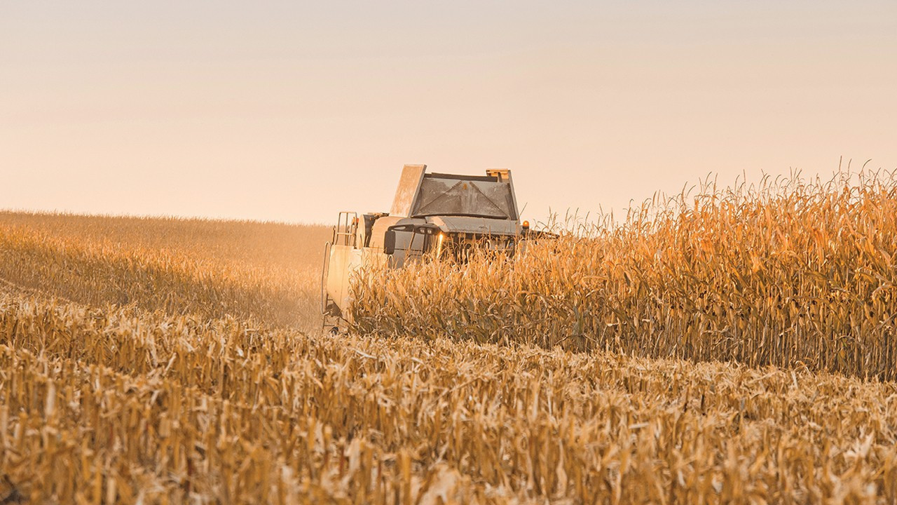 “Enerji şoku ve tarımdaki erime Türkiye’yi zorluyor”