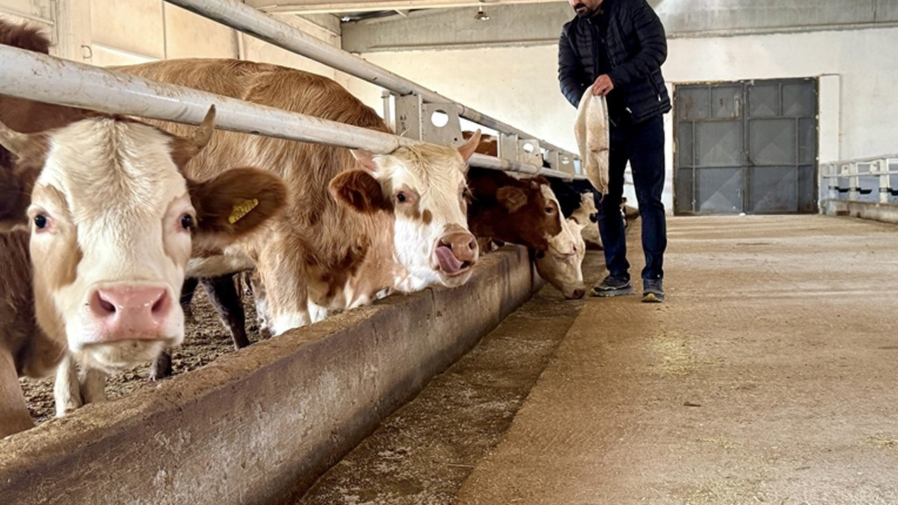 Tarım ve Orman Bakanlığı hayvancılıkta eğitim seferberliği başlattı