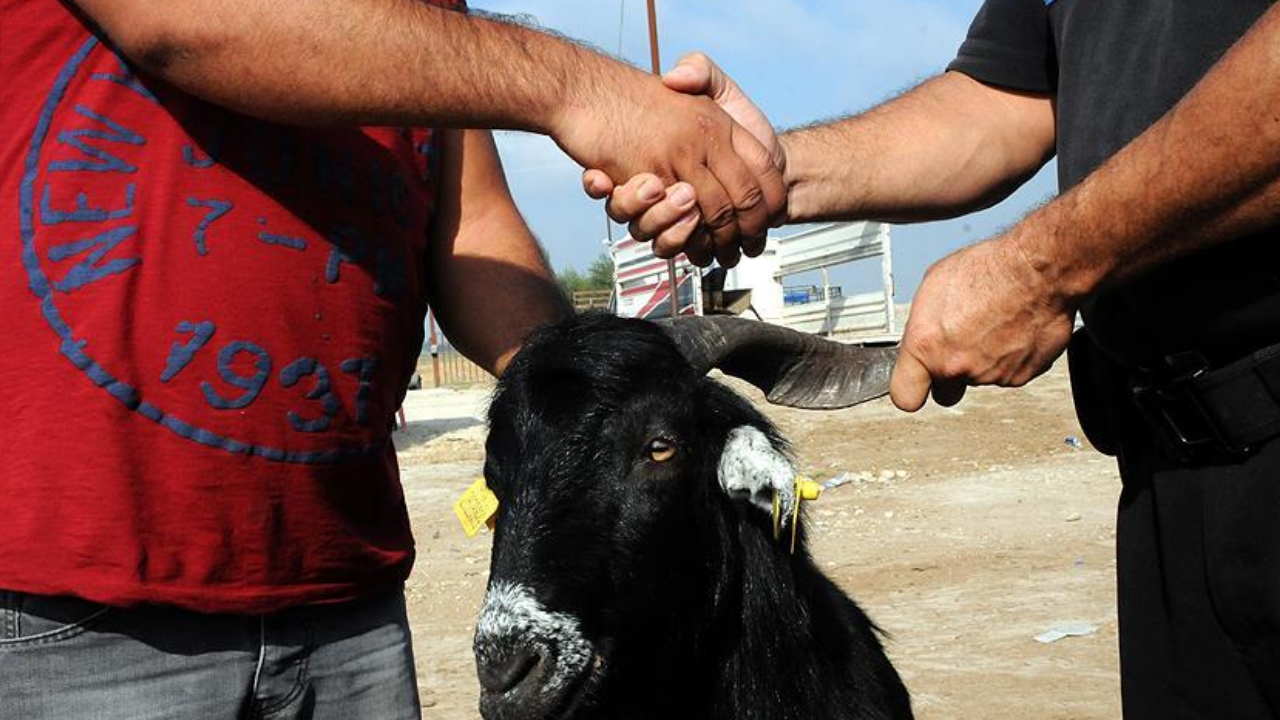 Kurban Bayramı'na kaç gün kaldı? 2026 Kurban Bayramı ne zaman?