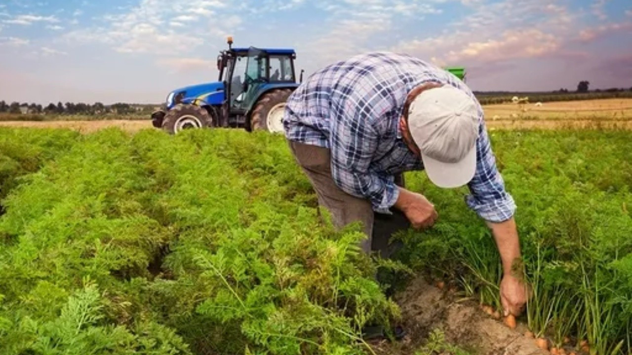 Kırsala dev destek: 327 milyar liralık yatırım, yüz binlerce kişiye istihdam