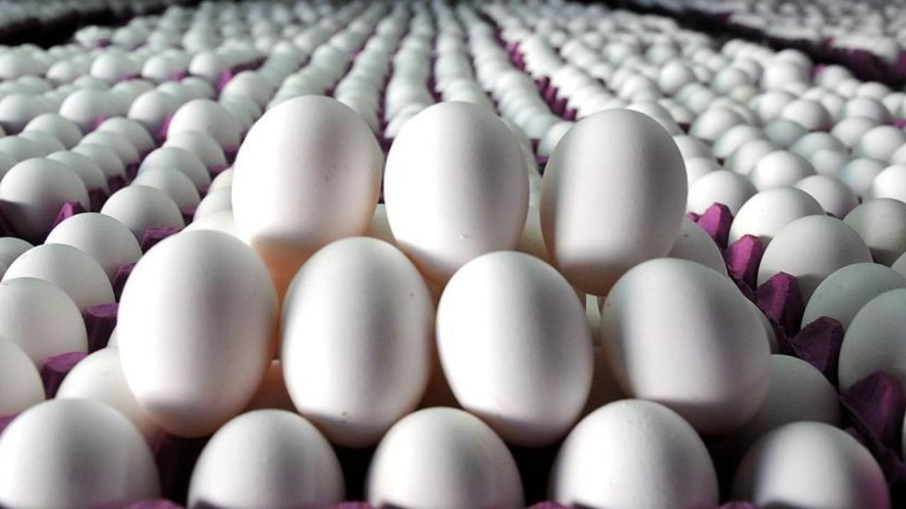 İhracat kotası 5 kat arttı: Yumurtada fiyat artacak korkusu başladı
