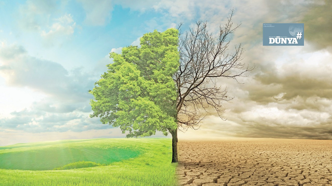 Araştırma: İklim krizinde bireysel aksiyon alma isteği azalıyor