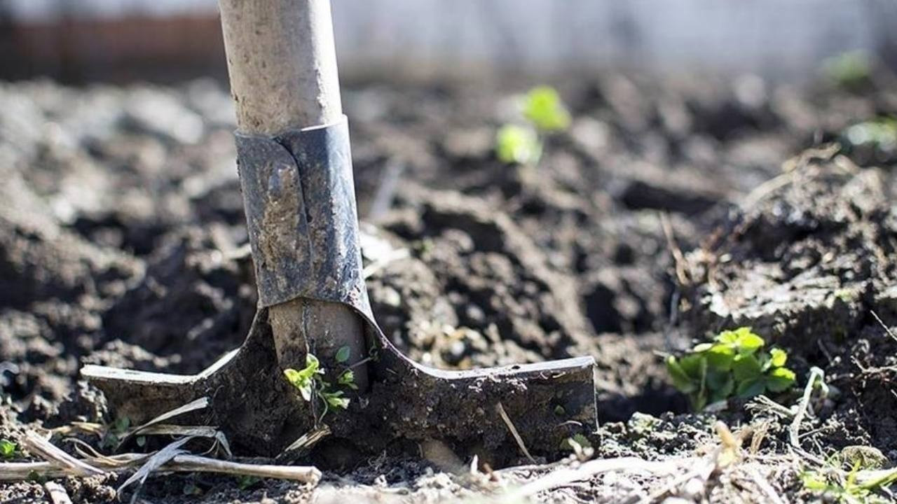 Gübrede kritik adım: 2 çeşitte gümrük vergisi sıfırlandı