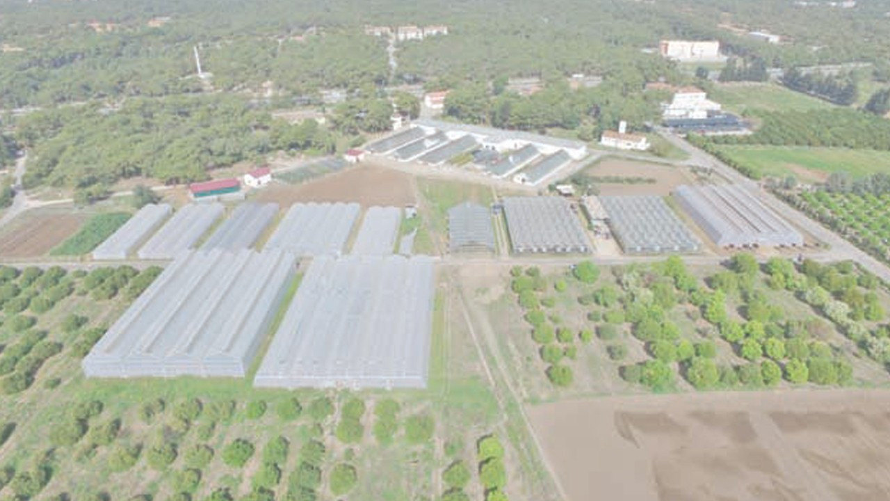 Mersin’den katma değerli yerli ürün hamlesi