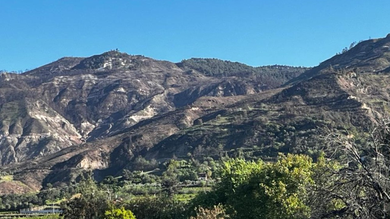 Buldan’daki yangının izleri silinmedi: Dağlar hâlâ siyaha bürünmüş durumda