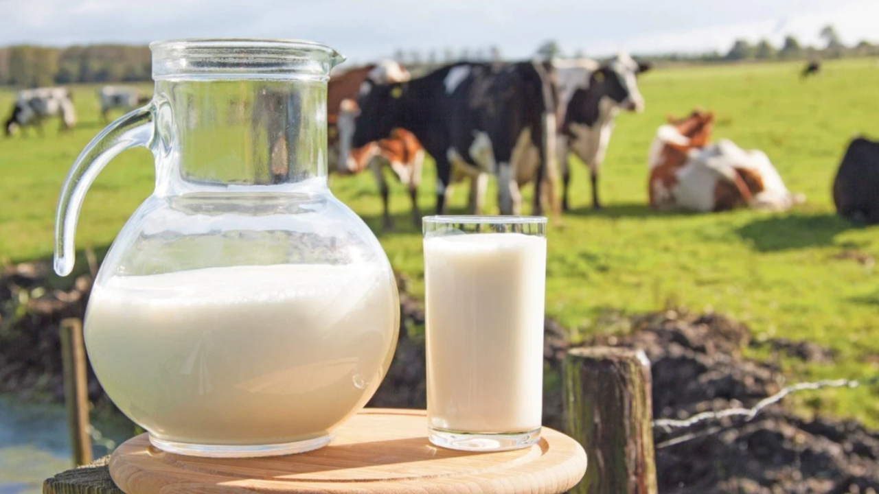 Martta süt üretimi geriledi, ayran ve kefir yükseldi